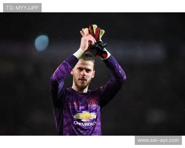 杰西卡·哈迪在国际泳联赛事中再创佳绩，展现卓越竞技实力